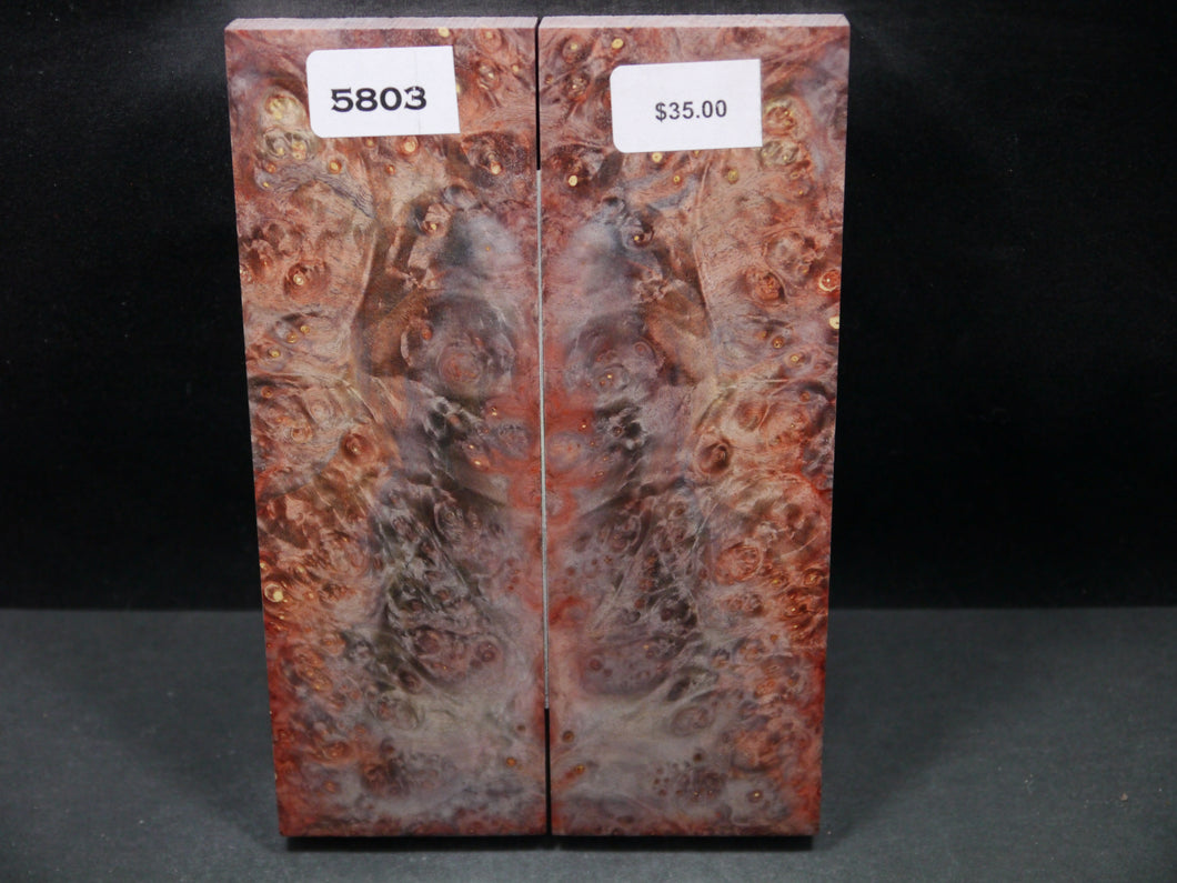 Stabilized Double Dyed Box Elder Scales SW5803