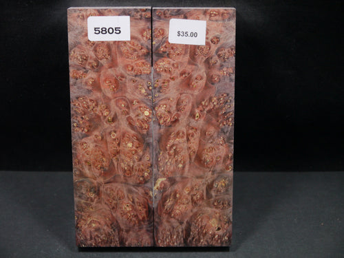 Stabilized Double Dyed Box Elder Scales SW5805