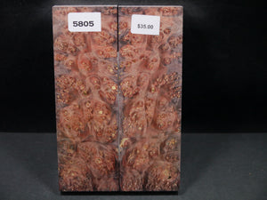 Stabilized Double Dyed Box Elder Scales SW5805