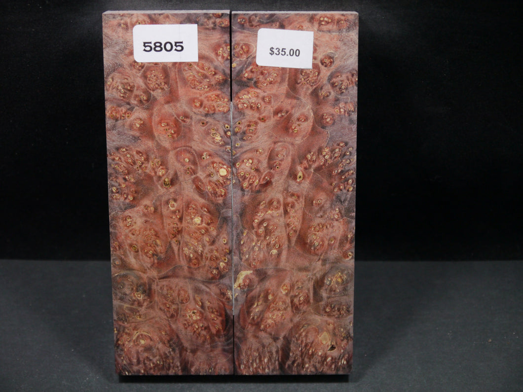 Stabilized Double Dyed Box Elder Scales SW5805