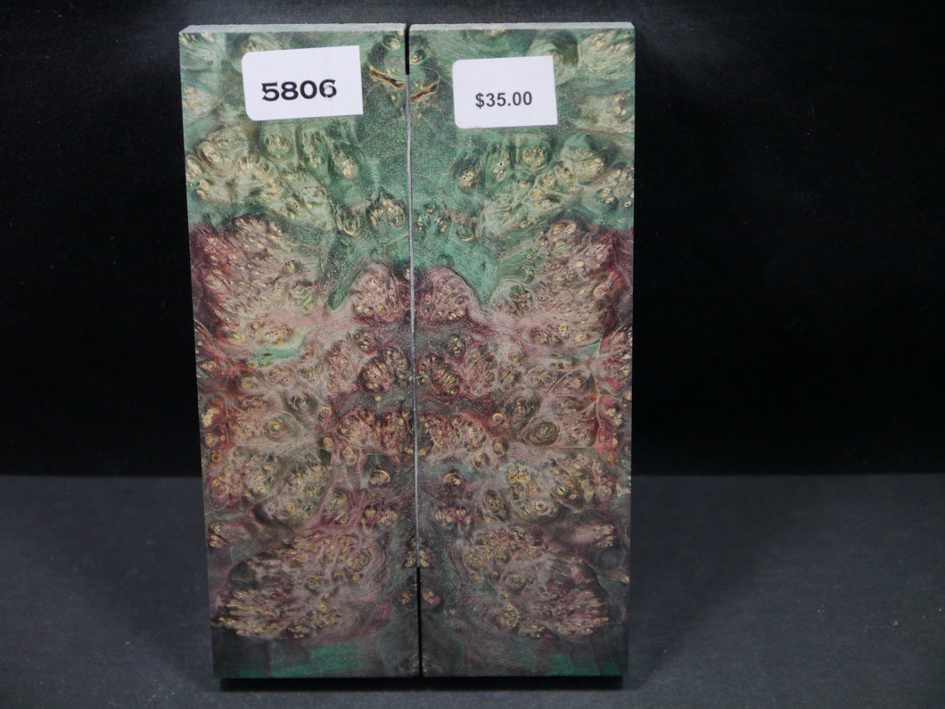 Stabilized Double Dyed Box Elder Scales SW5806