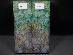 Stabilized Double Dyed Box Elder Scales SW5807
