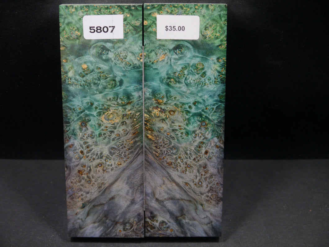 Stabilized Double Dyed Box Elder Scales SW5807