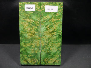Stabilized Double Dyed Box Elder Scales SW5809