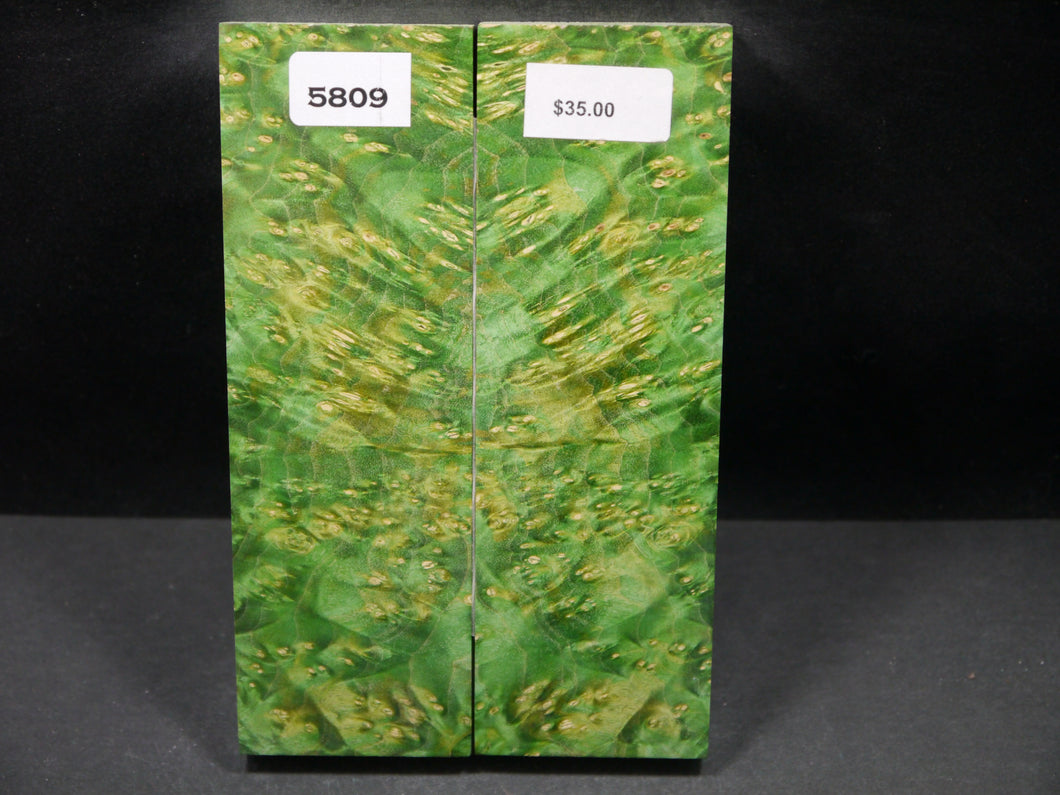Stabilized Double Dyed Box Elder Scales SW5809