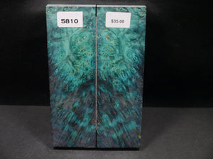 Stabilized Double Dyed Box Elder Scales SW5810