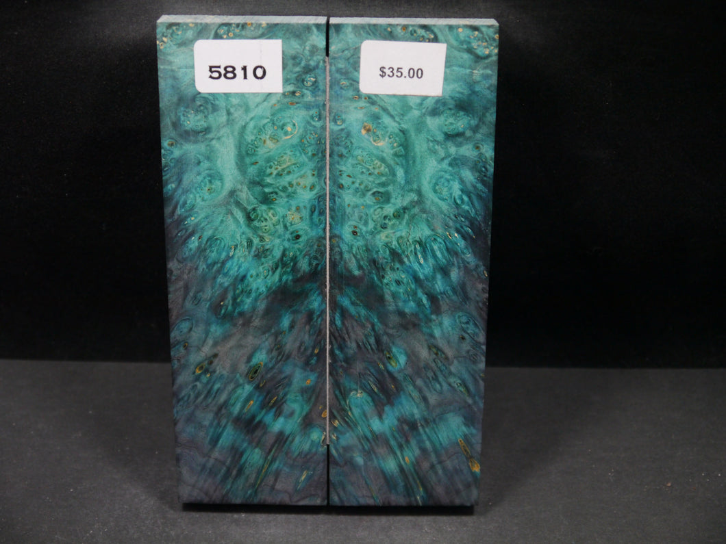 Stabilized Double Dyed Box Elder Scales SW5810