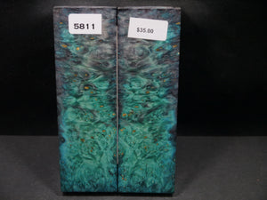 Stabilized Double Dyed Box Elder Scales SW5811