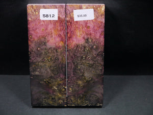 Stabilized Double Dyed Box Elder Scales SW5812
