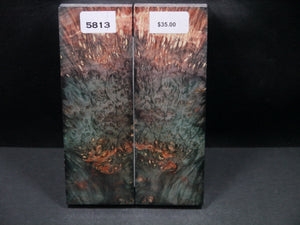 Stabilized Double Dyed Box Elder Scales SW5813
