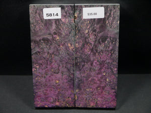 Stabilized Double Dyed Box Elder Scales SW5814