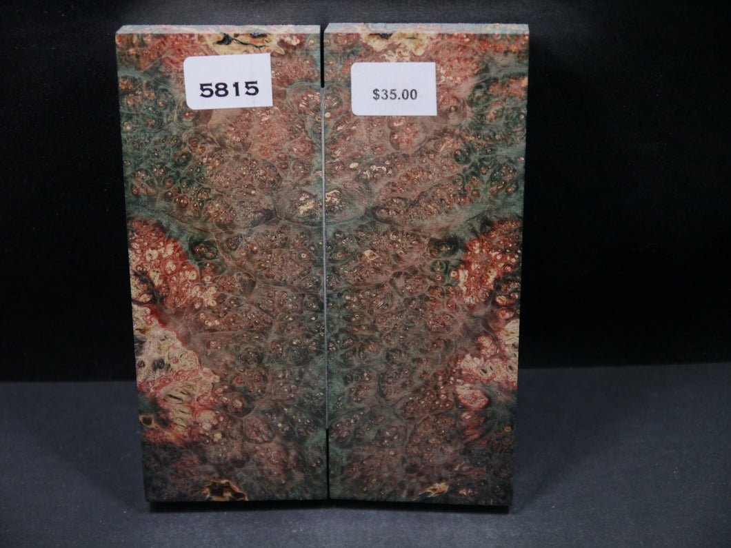 Stabilized Double Dyed Box Elder Scales SW5815