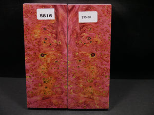 Stabilized Double Dyed Box Elder Scales SW5816