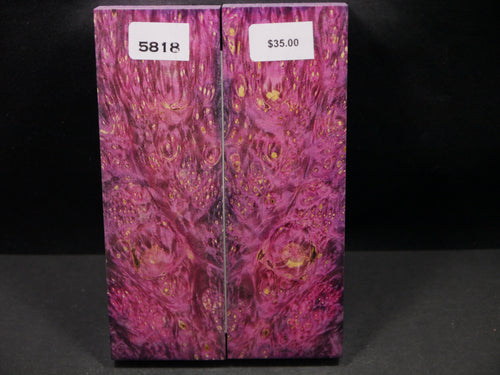 Stabilized Double Dyed Box Elder Scales SW5818