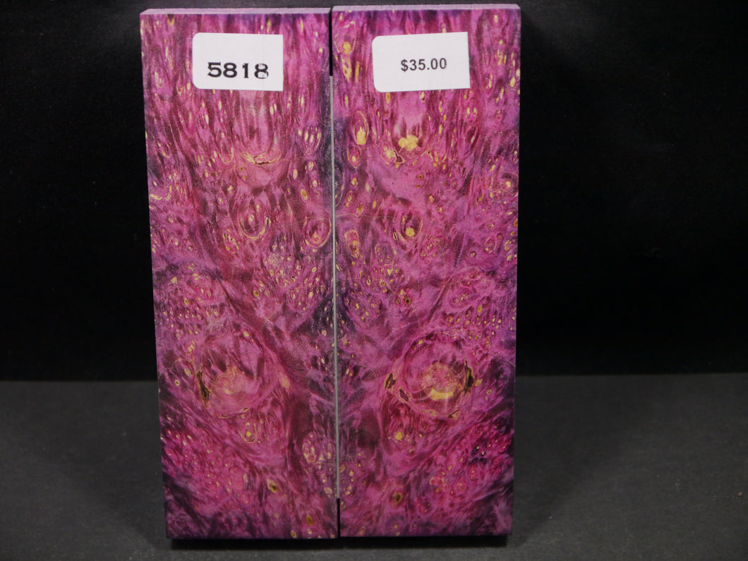 Stabilized Double Dyed Box Elder Scales SW5818
