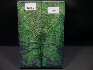 Stabilized Double Dyed Box Elder Scales SW5819