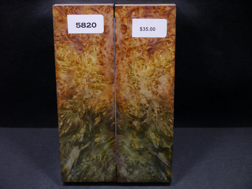 Stabilized Double Dyed Box Elder Scales SW5820