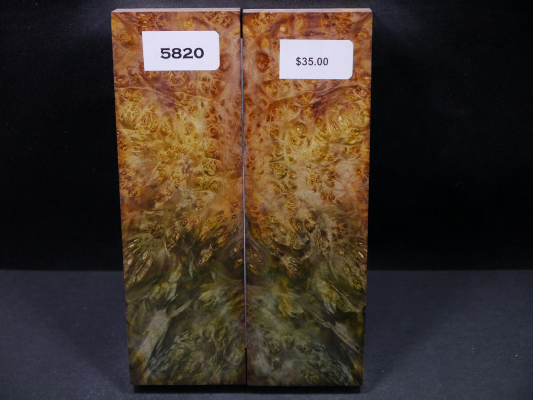 Stabilized Double Dyed Box Elder Scales SW5820