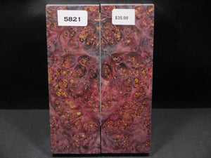 Stabilized Double Dyed Box Elder Scales SW5821