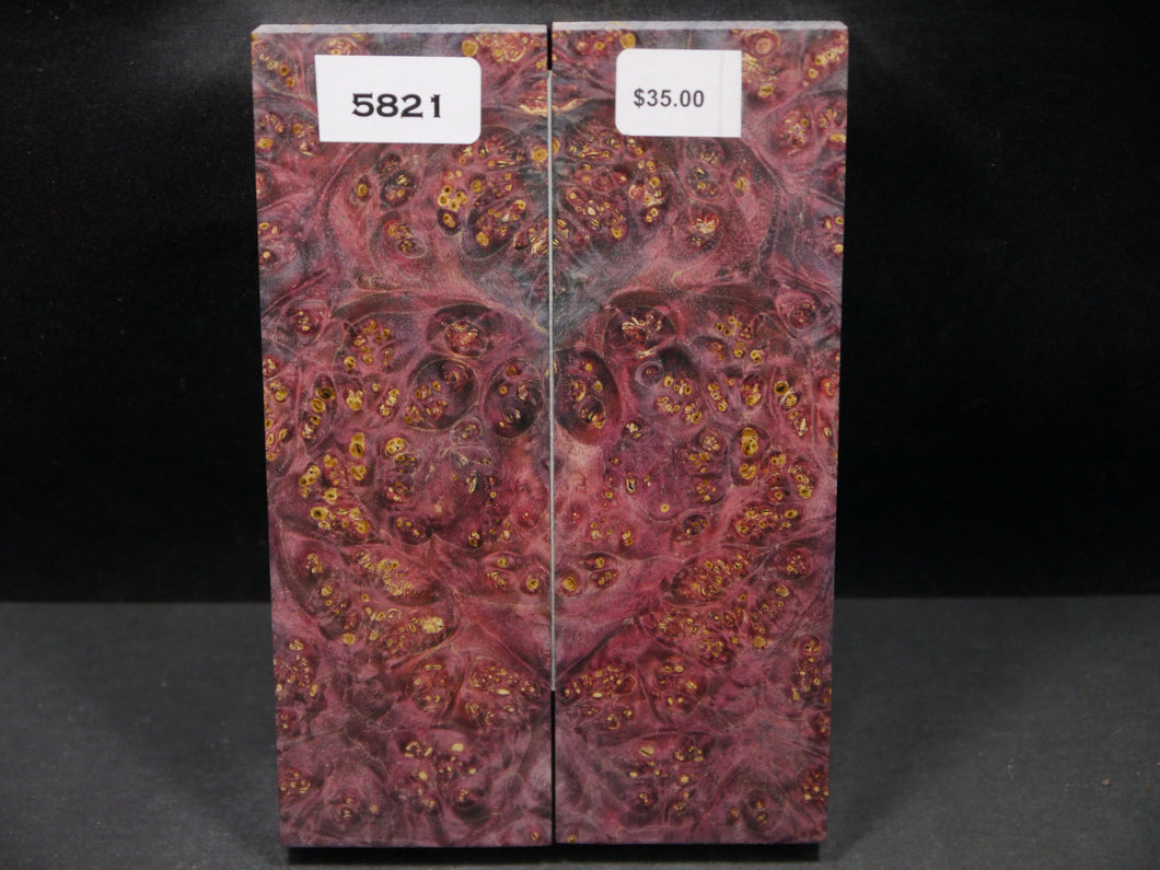 Stabilized Double Dyed Box Elder Scales SW5821