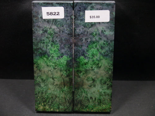 Stabilized Double Dyed Box Elder Scales SW5822