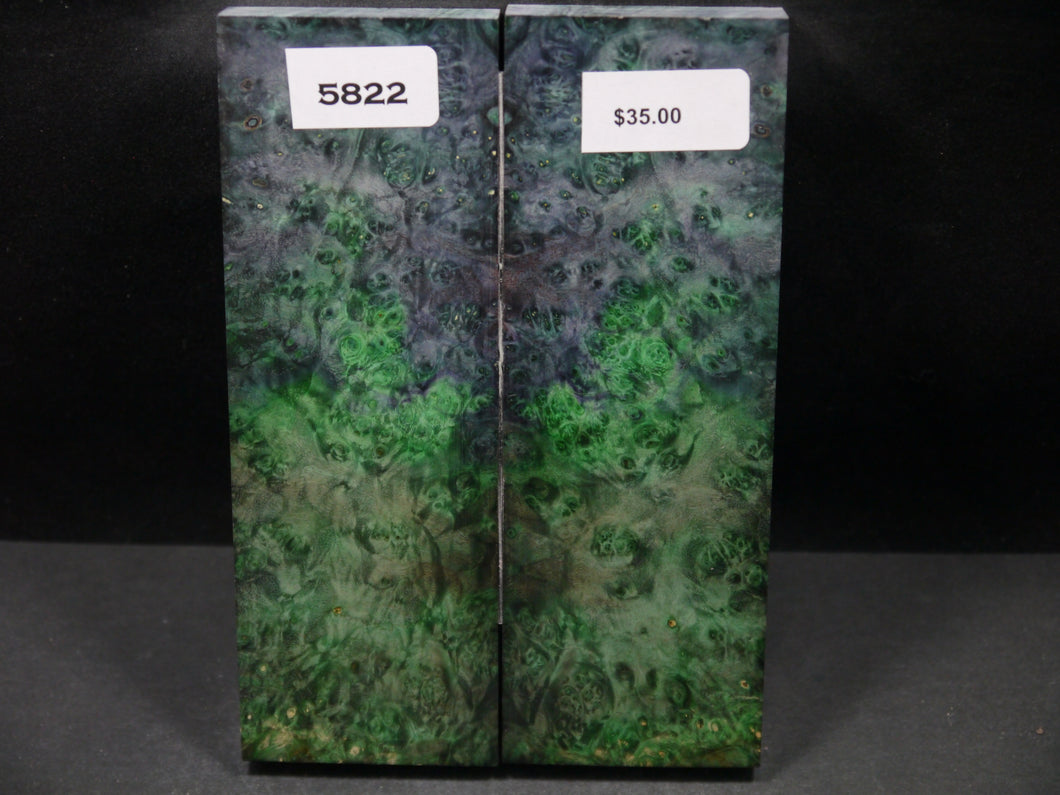 Stabilized Double Dyed Box Elder Scales SW5822