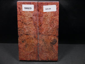 Stabilized Double Dyed Box Elder Scales SW5823