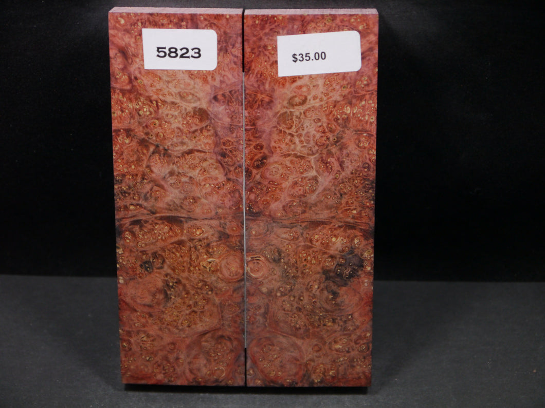 Stabilized Double Dyed Box Elder Scales SW5823