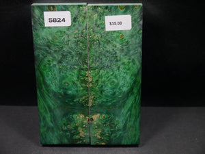 Stabilized Double Dyed Box Elder Scales SW5824