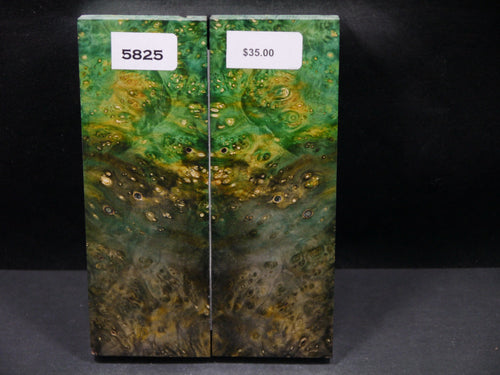 Stabilized Double Dyed Box Elder Scales SW5825