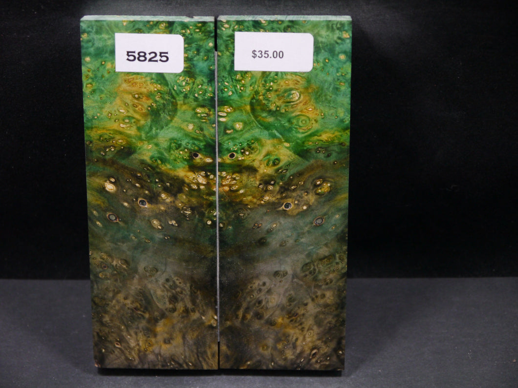 Stabilized Double Dyed Box Elder Scales SW5825