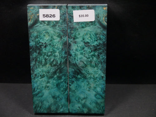 Stabilized Double Dyed Box Elder Scales SW5826