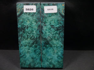 Stabilized Double Dyed Box Elder Scales SW5826