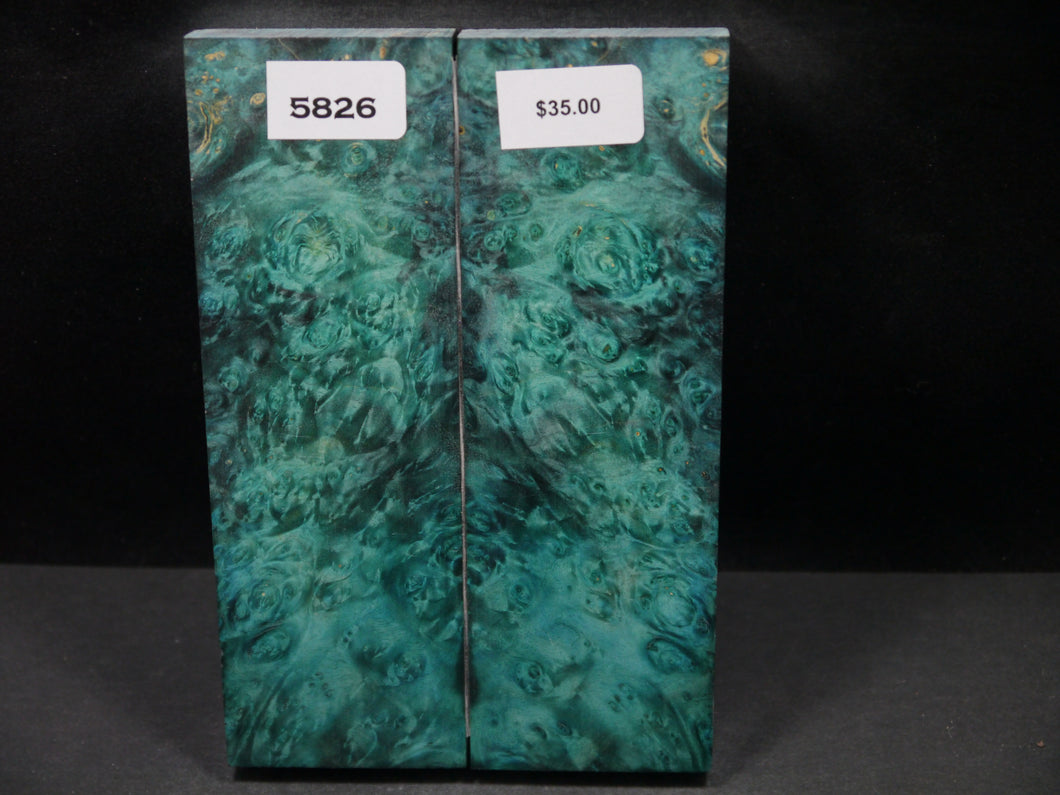 Stabilized Double Dyed Box Elder Scales SW5826
