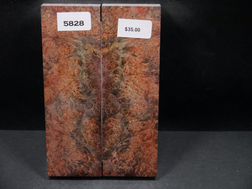 Stabilized Double Dyed Box Elder Scales SW5828