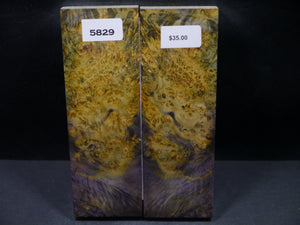 Stabilized Double Dyed Box Elder Scales SW5829