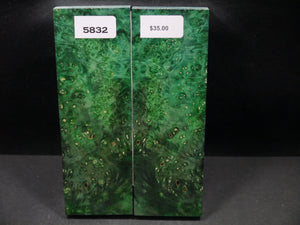 Stabilized Double Dyed Box Elder Scales SW5832