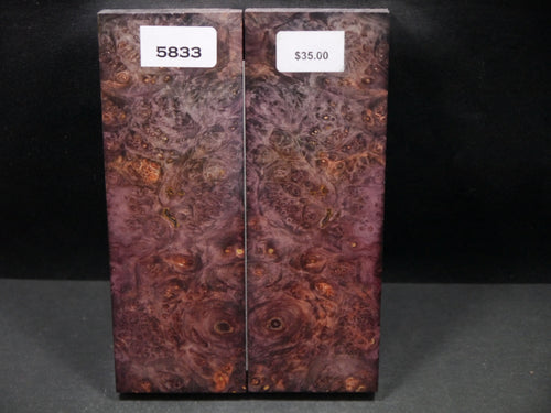 Stabilized Double Dyed Box Elder Scales SW5833