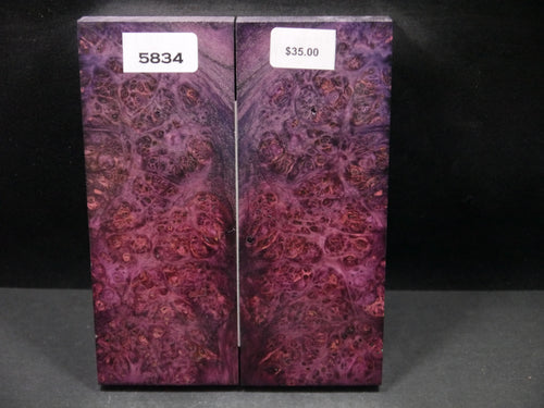 Stabilized Double Dyed Box Elder Scales SW5834