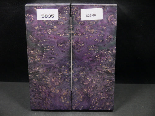 Stabilized Double Dyed Box Elder Scales SW5835