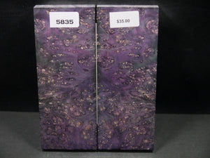 Stabilized Double Dyed Box Elder Scales SW5835