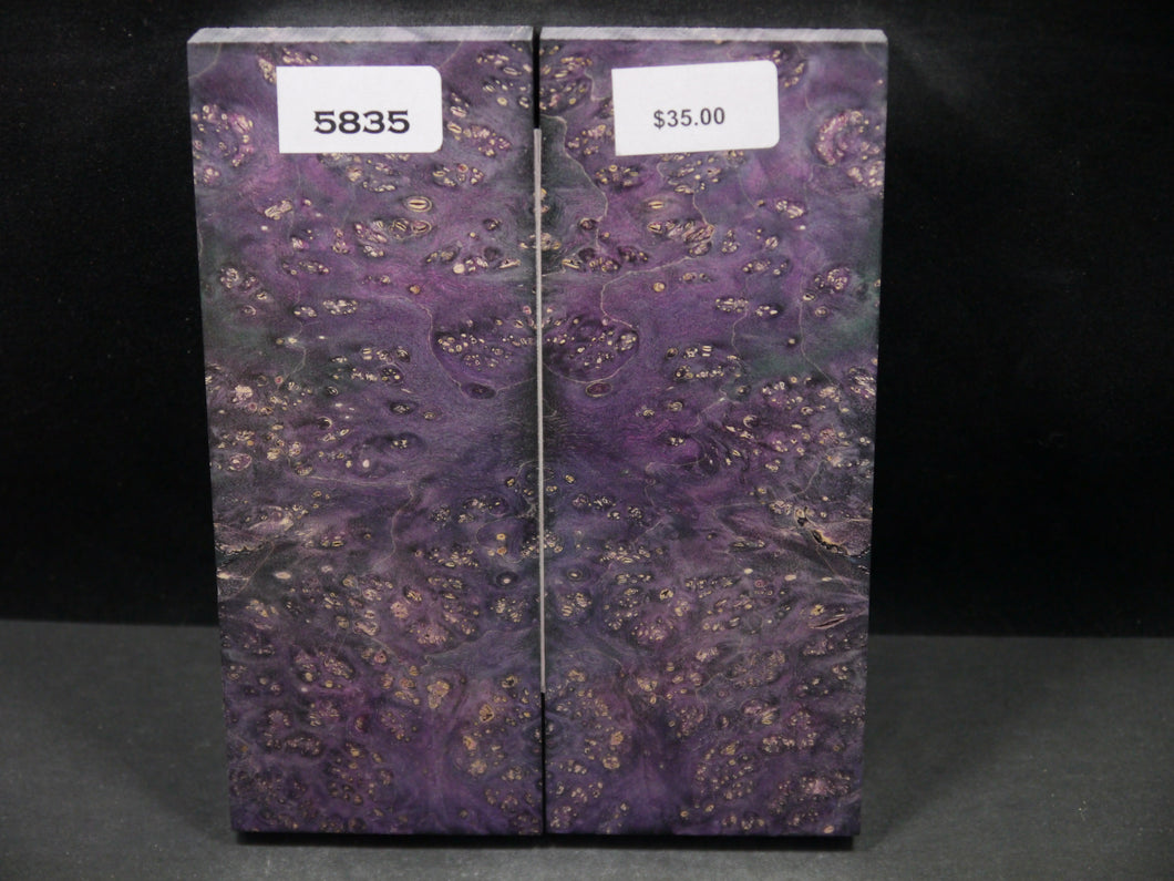 Stabilized Double Dyed Box Elder Scales SW5835