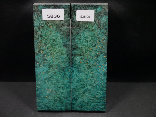 Stabilized Double Dyed Box Elder Scales SW5836