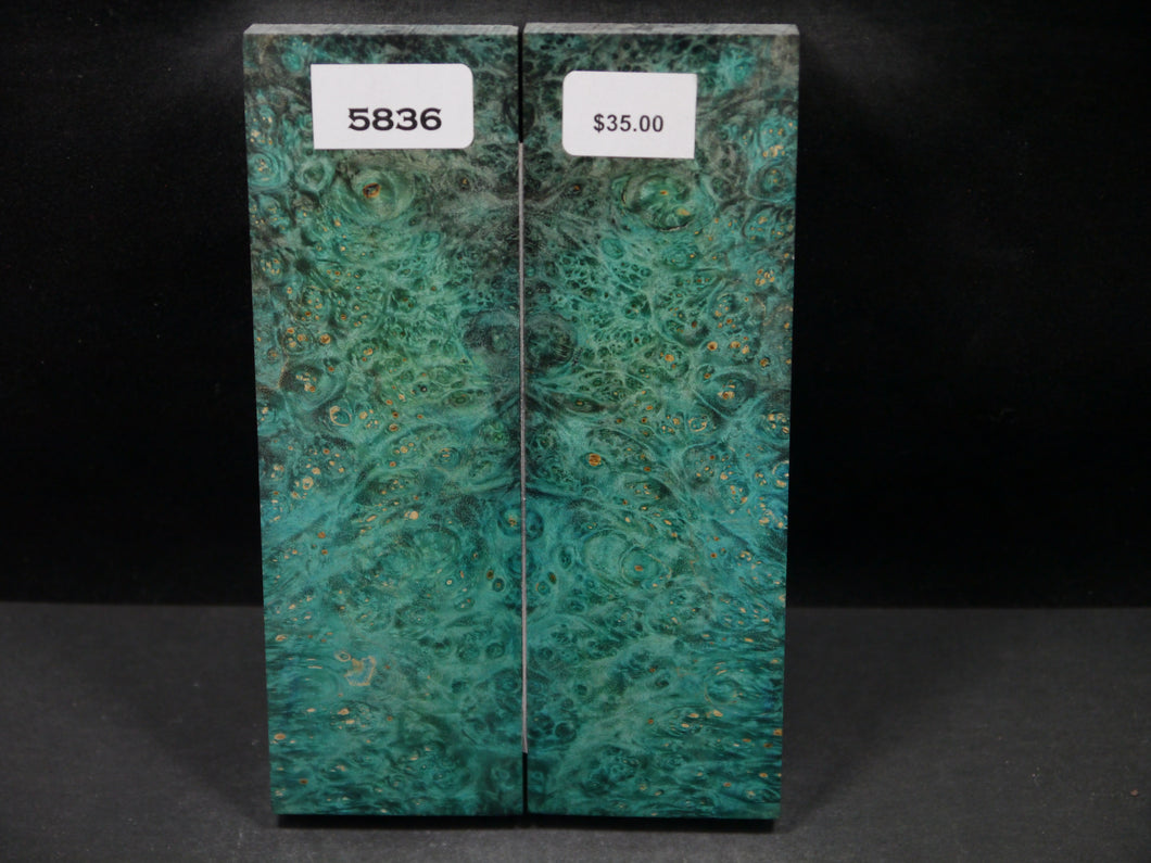 Stabilized Double Dyed Box Elder Scales SW5836