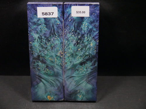 Stabilized Double Dyed Box Elder Scales SW5837