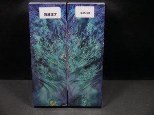 Stabilized Double Dyed Box Elder Scales SW5837