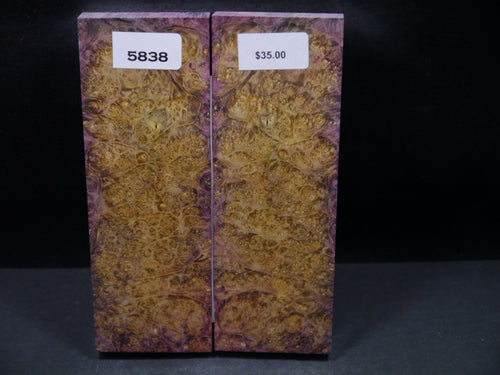 Stabilized Double Dyed Box Elder Scales SW5838