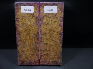 Stabilized Double Dyed Box Elder Scales SW5838