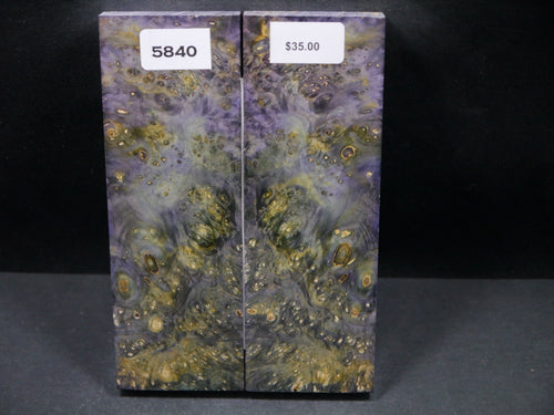 Stabilized Double Dyed Box Elder Scales SW5840