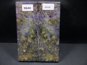 Stabilized Double Dyed Box Elder Scales SW5840